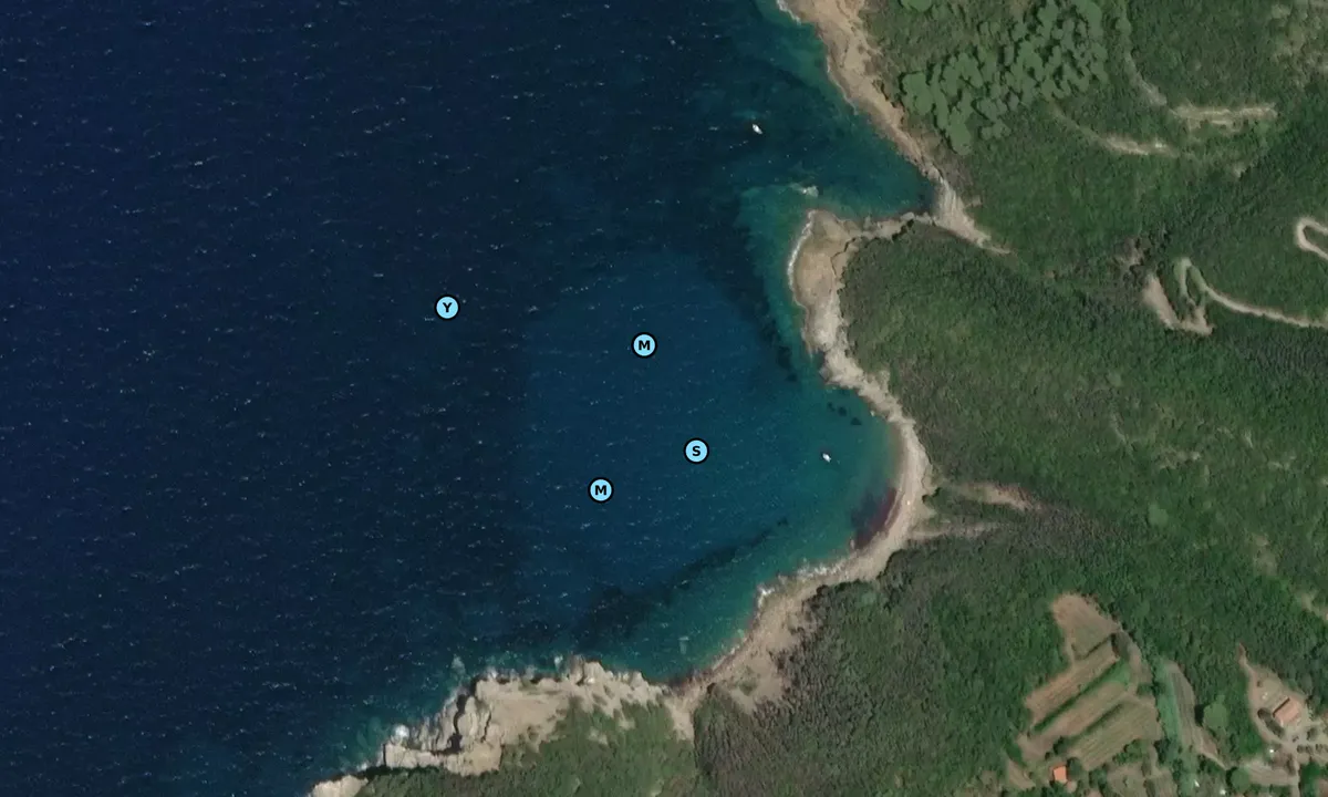 Satelite image of Cala Mandriola