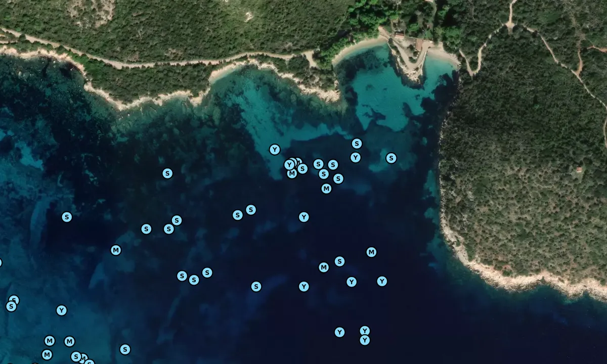 Satelite image of Cala Moresca