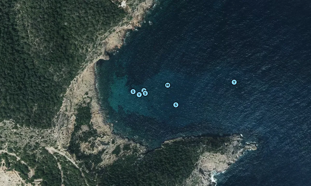 Satelite image of Cala Negra