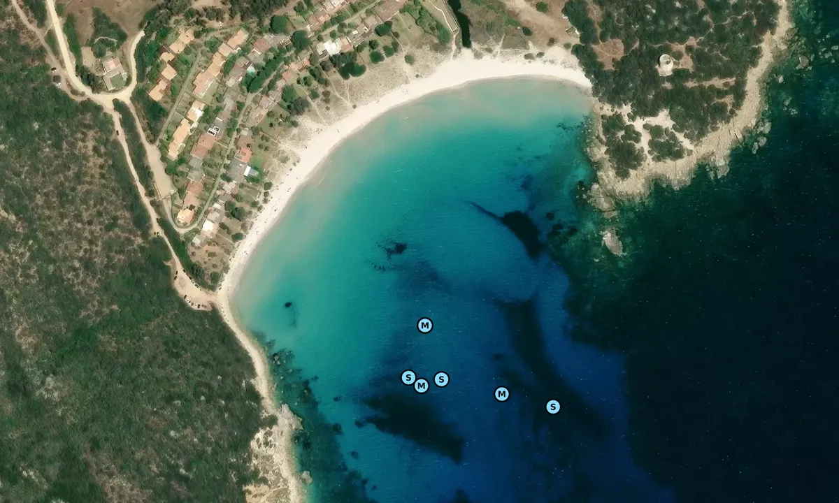 Satelite image of Cala Pira 1