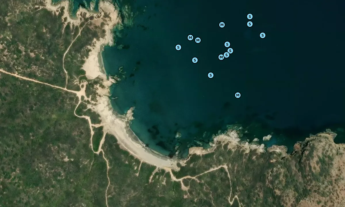 Satelite image of Cala sa Figu