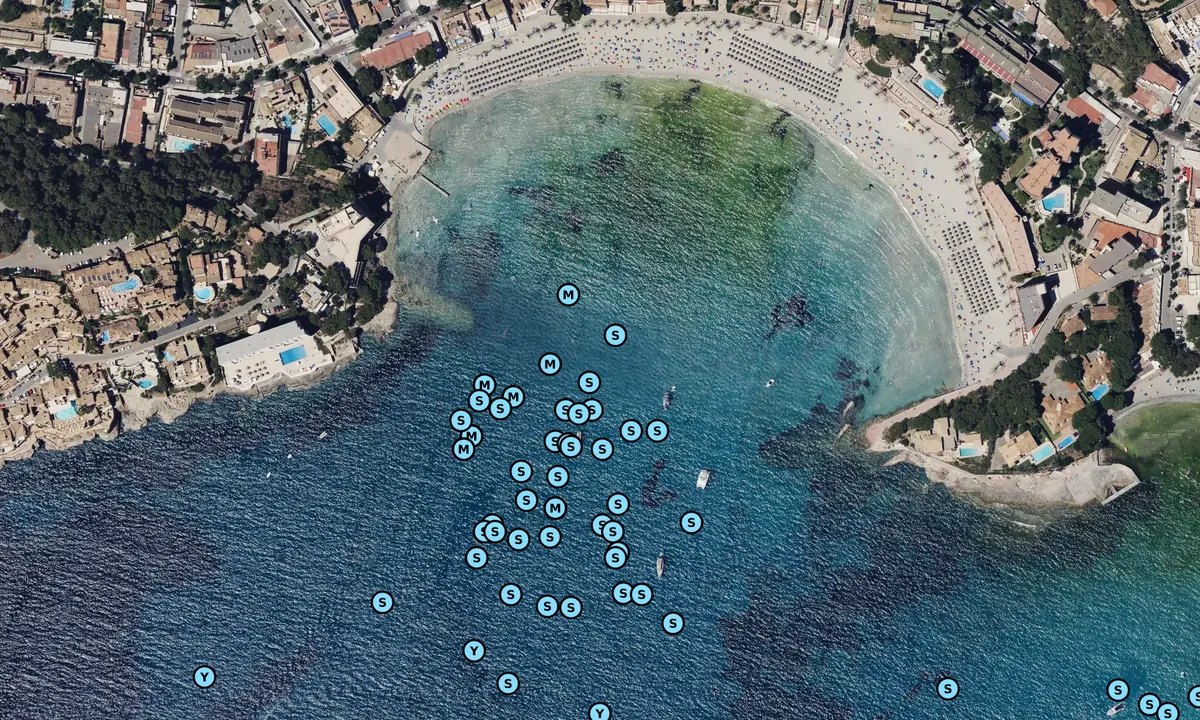 Satelite image of Cala Sa Puntassa