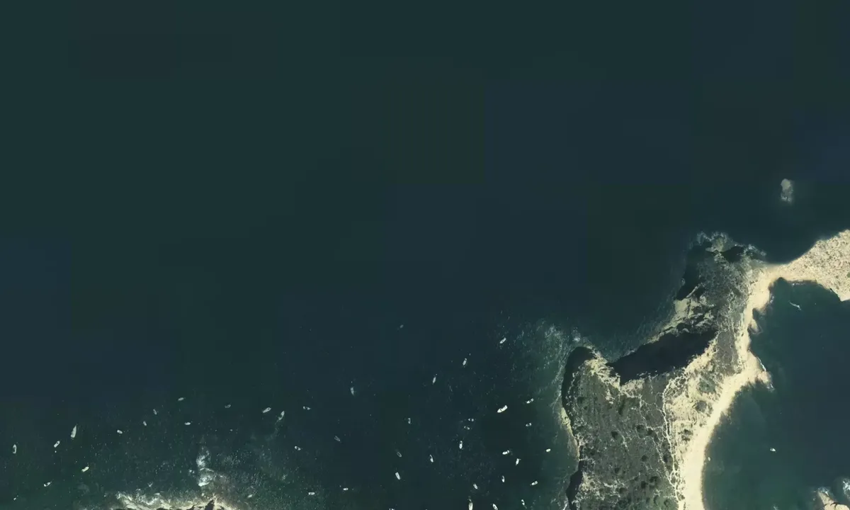 Flyfoto av Cala Sardinera 1