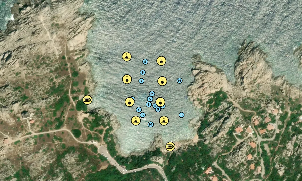 Satelite image of Cala Spinosa