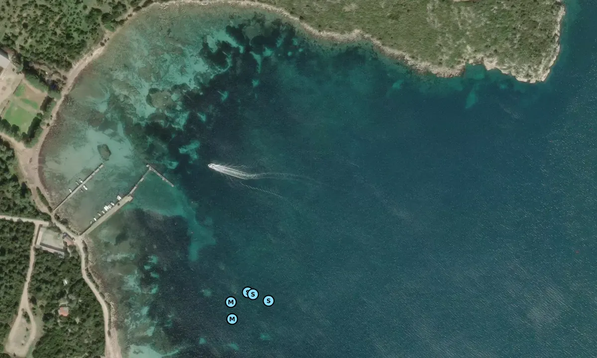 Satelite image of Cala Tramariglio