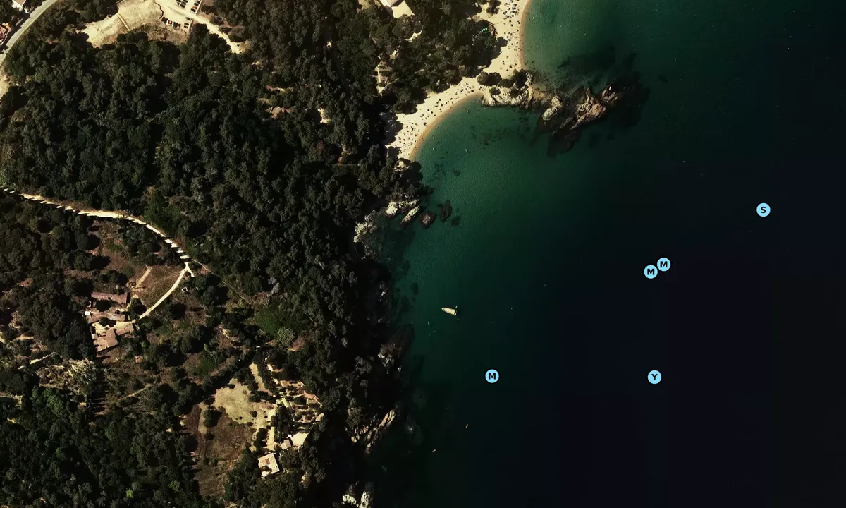Satelite image of Cala Treumal
