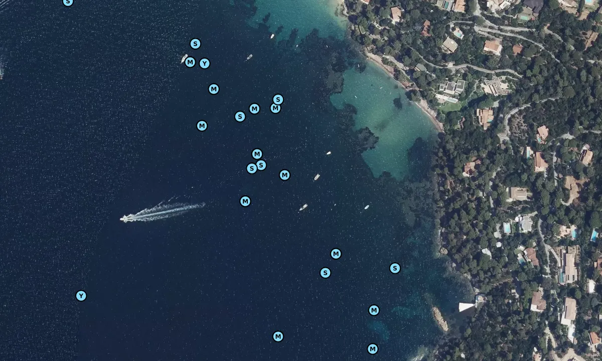Satelite image of Calanque du Cap Nègre