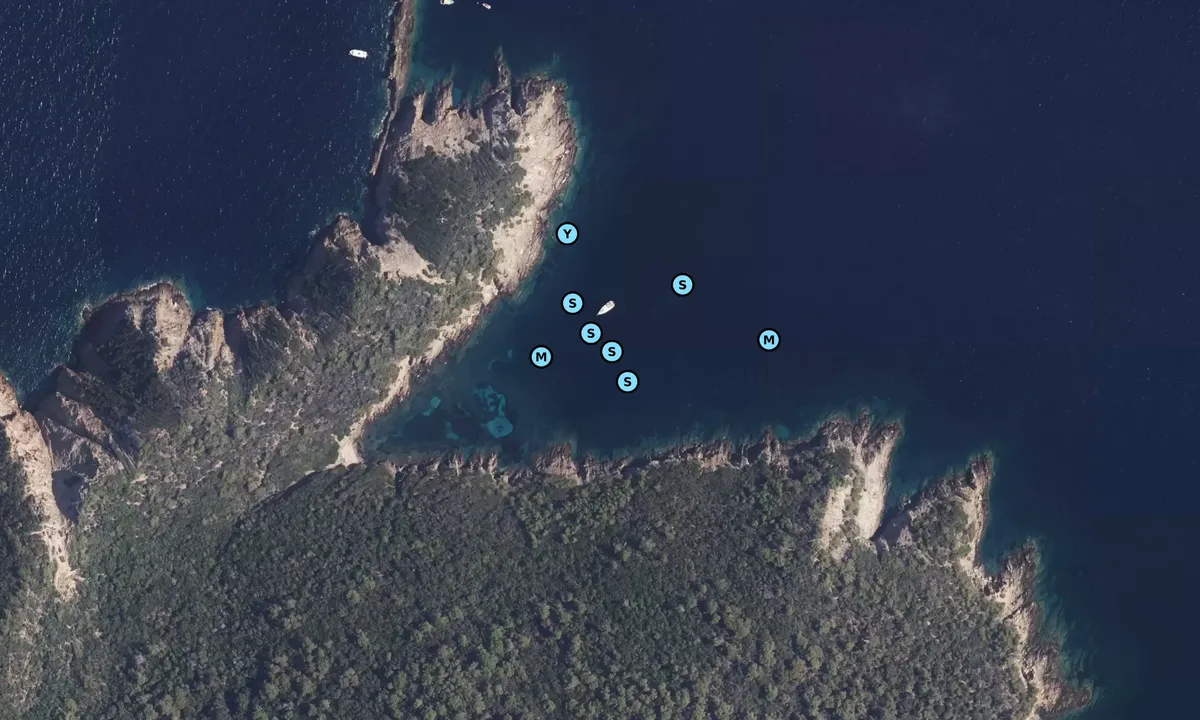 Satelite image of Calanque Longue