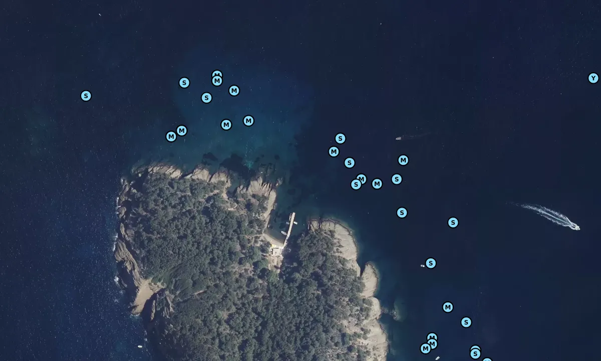 Satelite image of Calanque Saint-Pierre