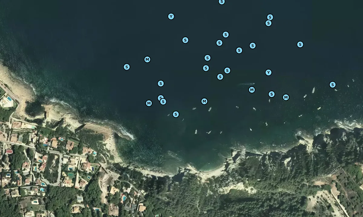 Satelite image of Caleta de Dins
