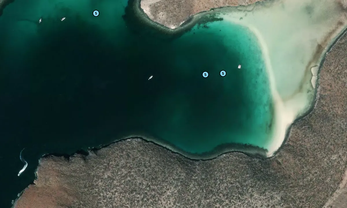 Satelite image of Caleta Lobos