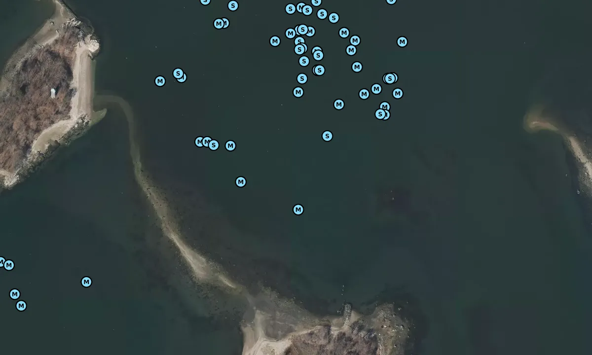 Satelite image of Calf Islands East