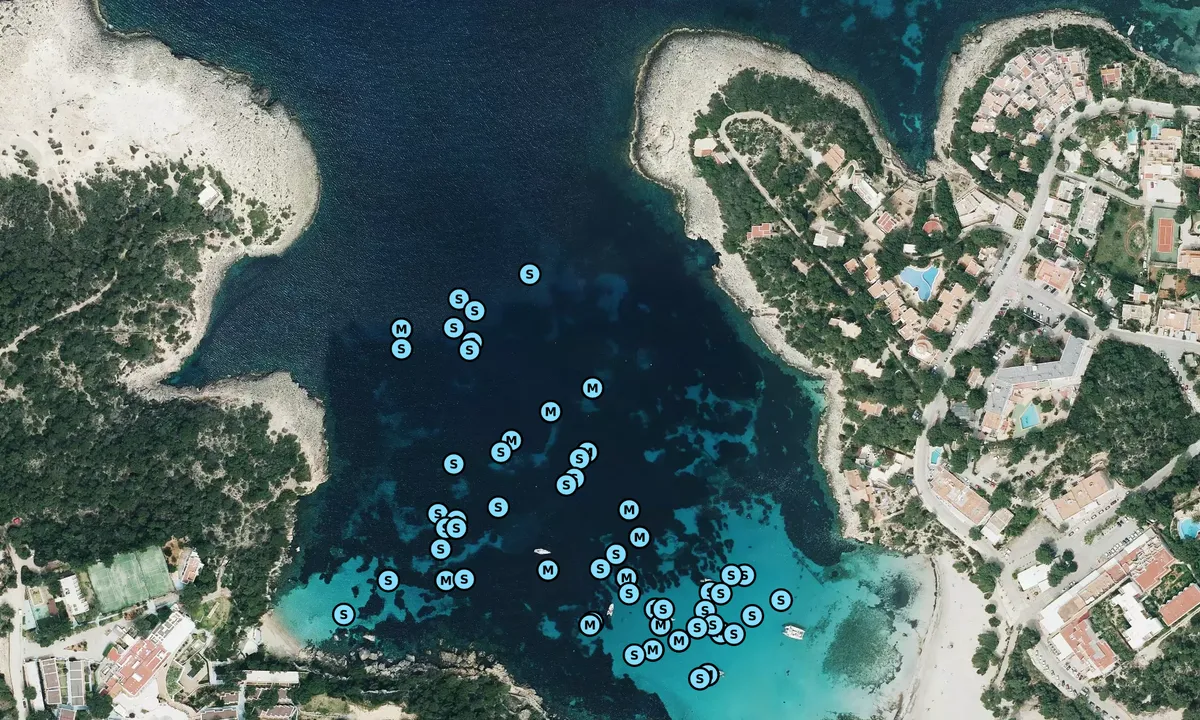 Satelite image of Calla Portinatx