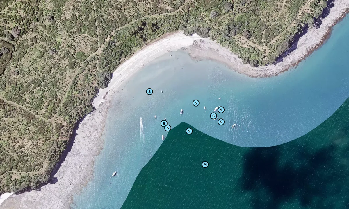 Satelite image of Calypso Bay - Auckland