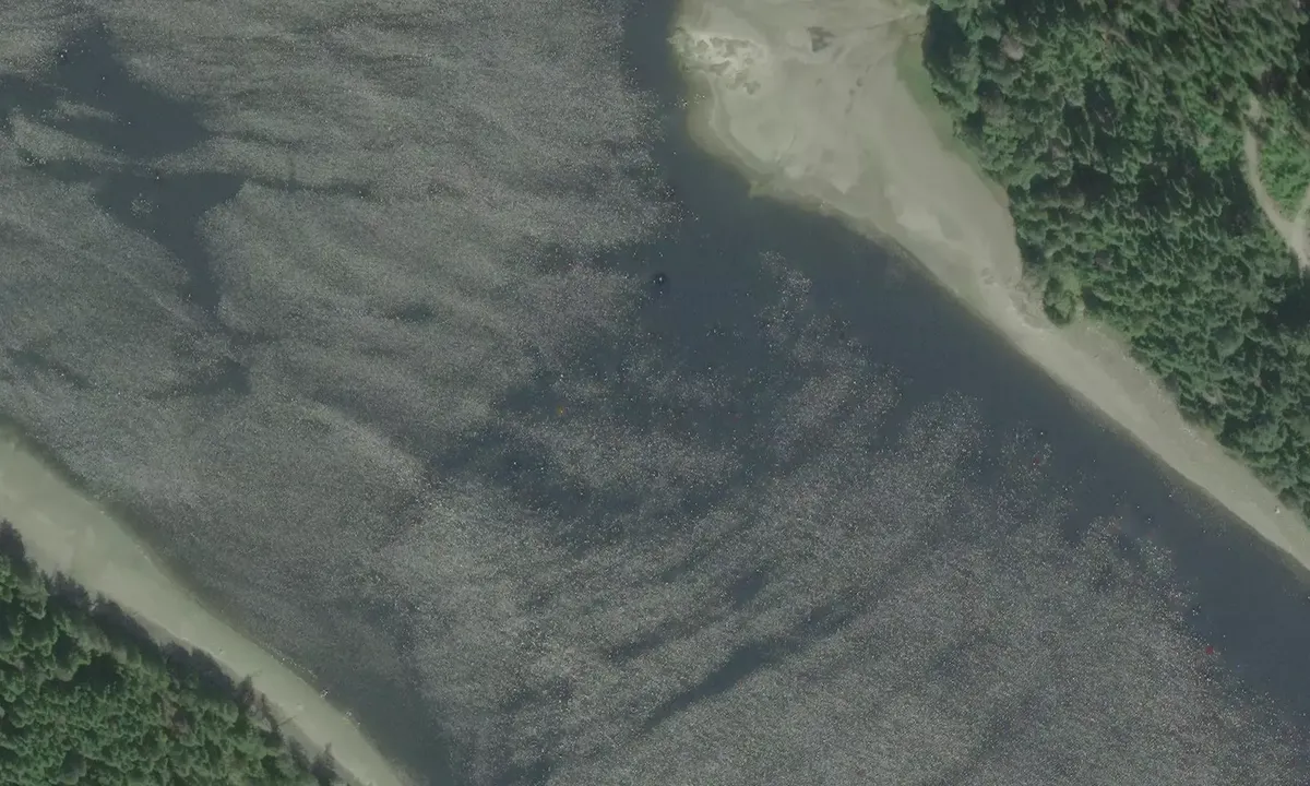 Satelite image of Cameleon Harbour