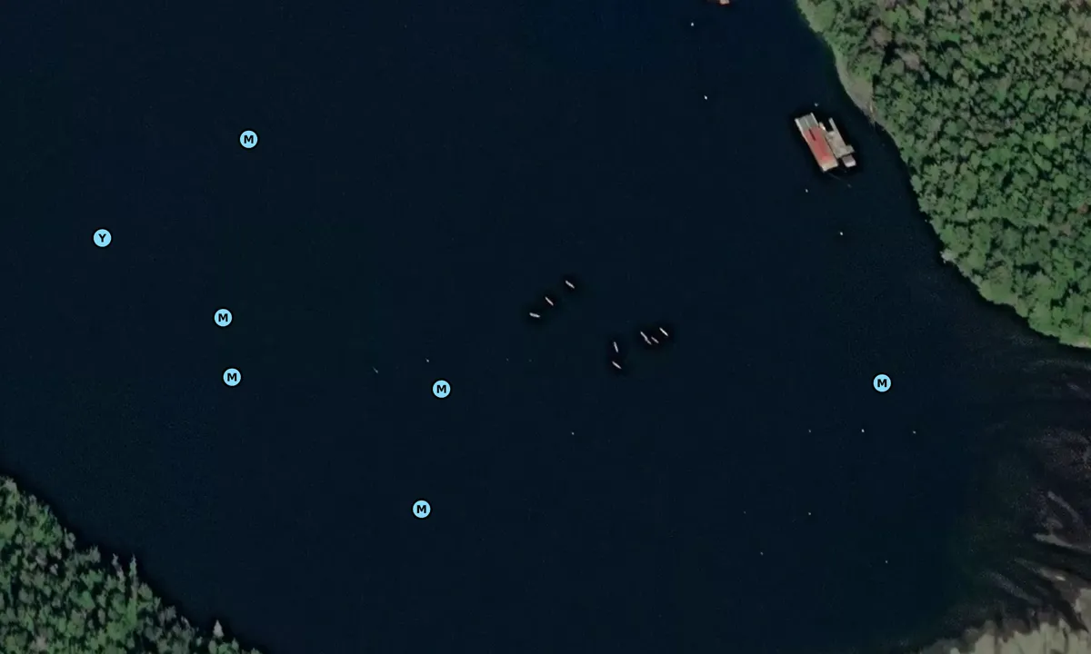 Satelite image of Camp Coogan Bay