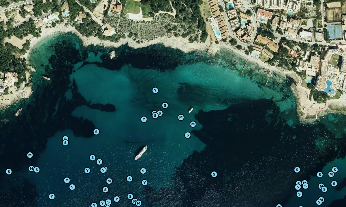 Satelite image of Camp de Mar