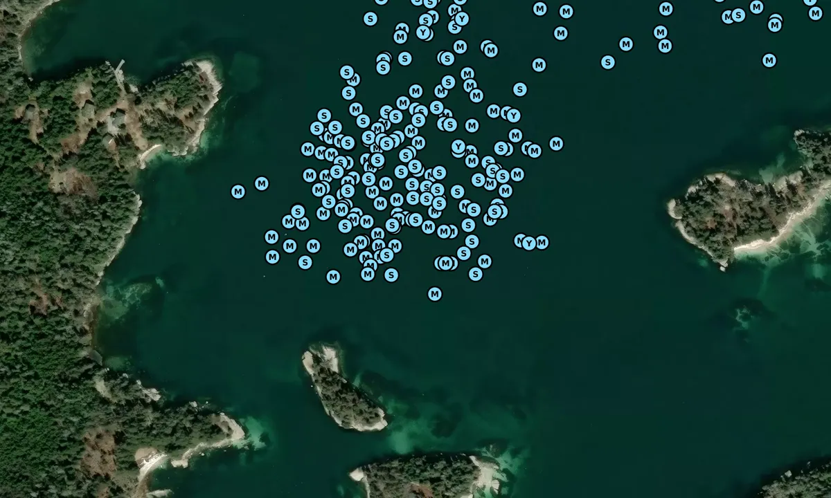 Satelite image of Camp Island