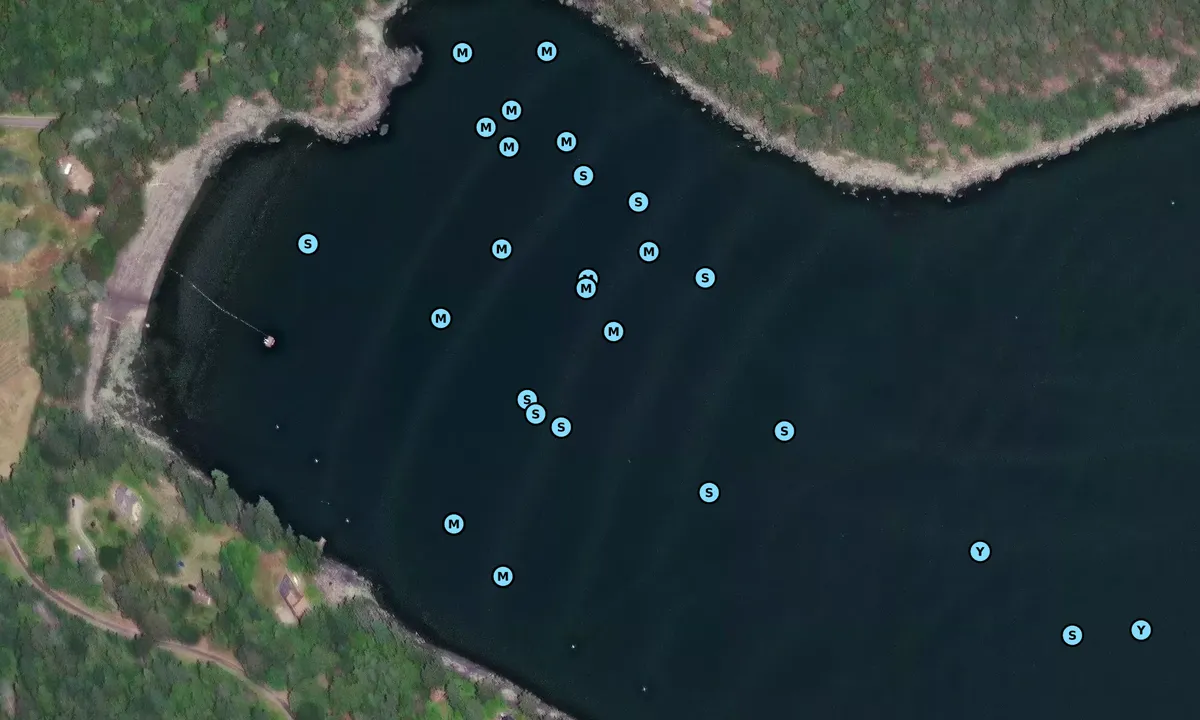 Satelite image of Campbell Bay
