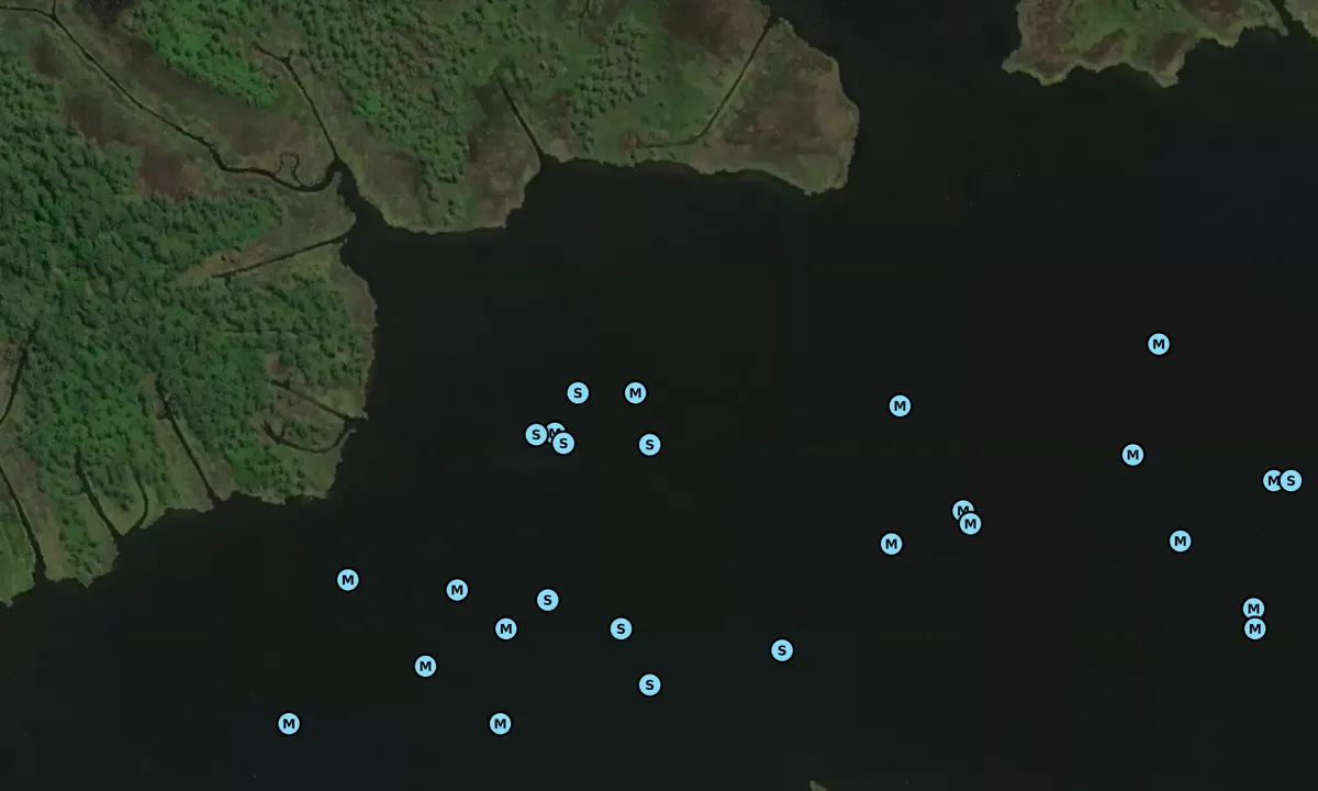 Satelite image of Campbell Creek - 2