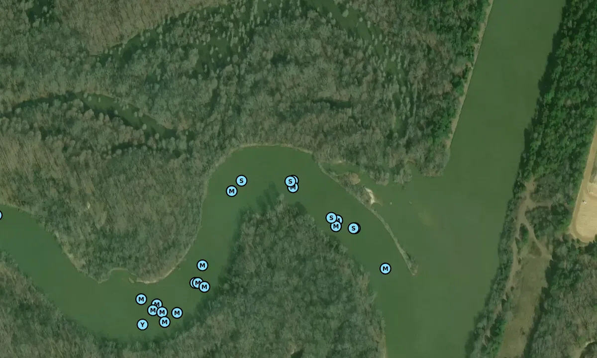 Satelite image of Canal Section Cutoff