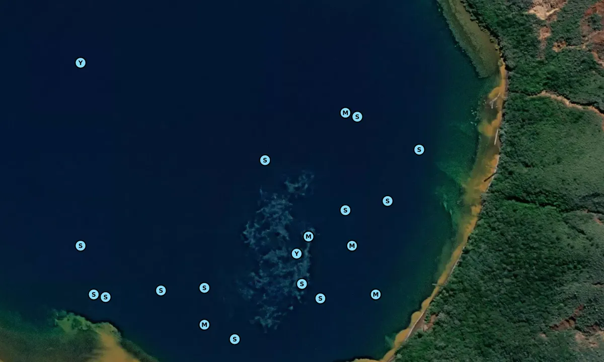 Satelite image of Canal Woodin