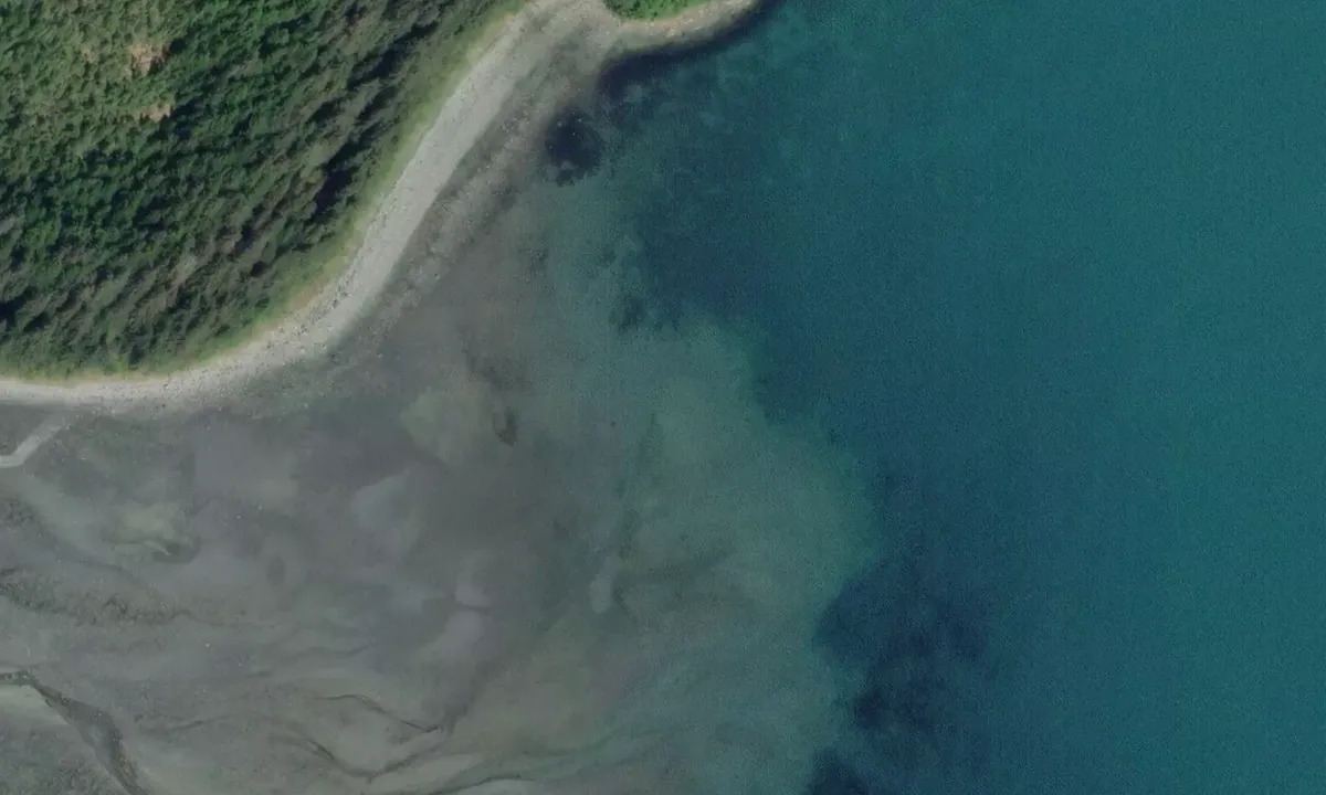 Satelite image of Cannery Site