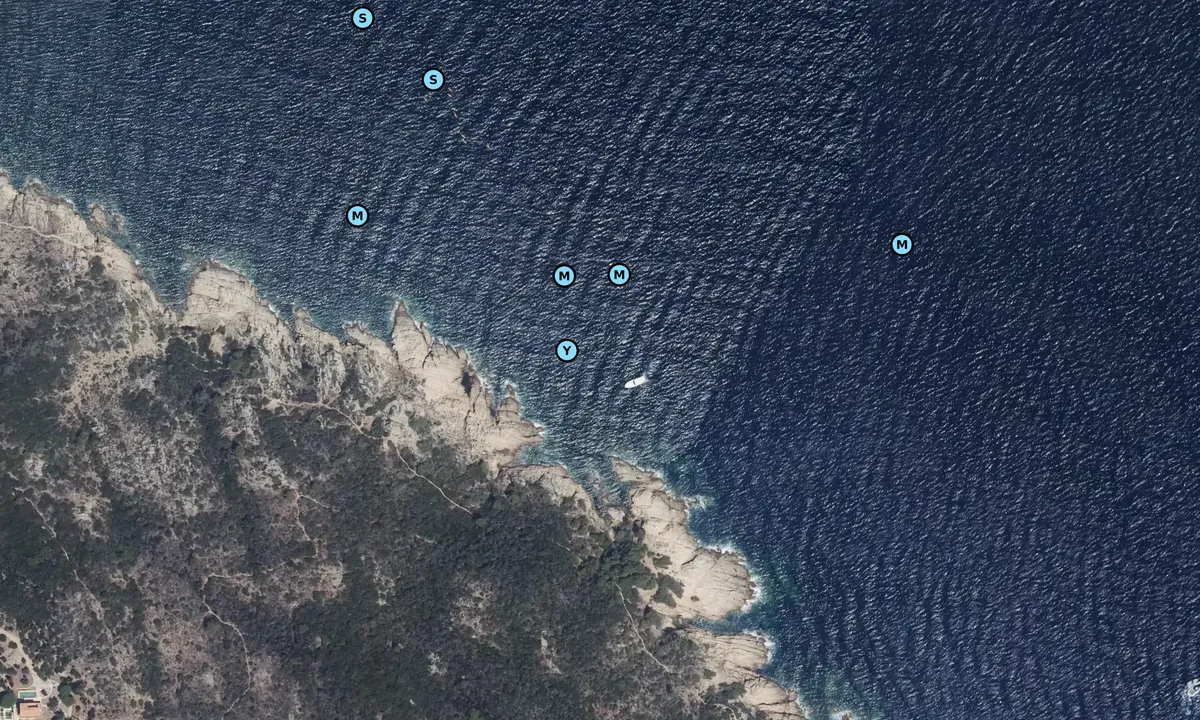 Satelite image of Cap Camarat