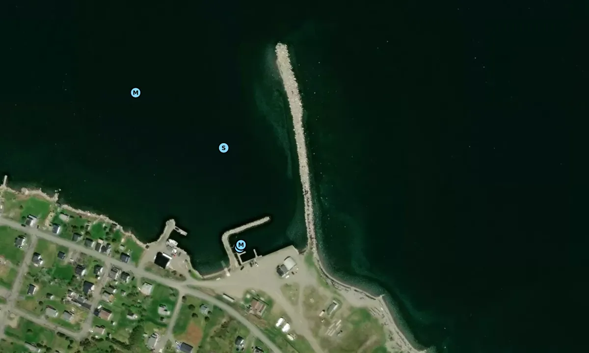 Satelite image of Cape Canso Marina