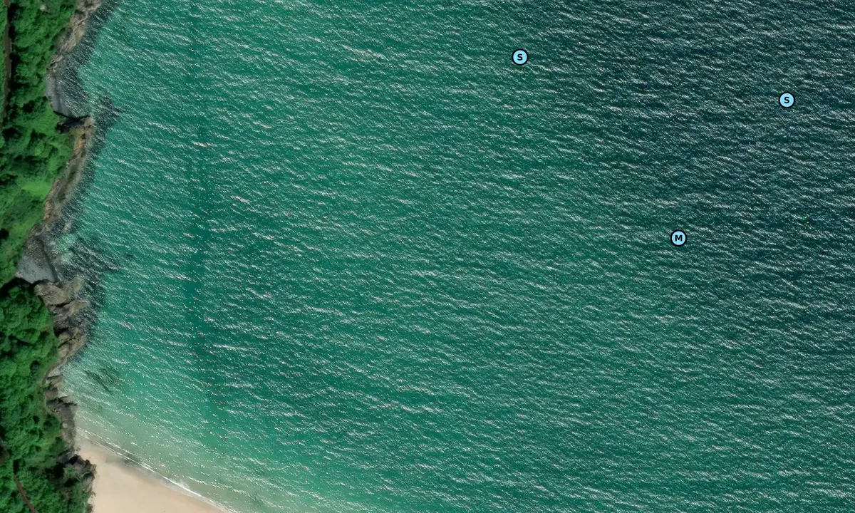 Satelite image of Carbis Bay