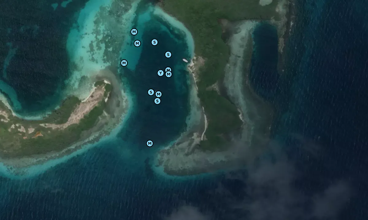 Satelite image of Carenero
