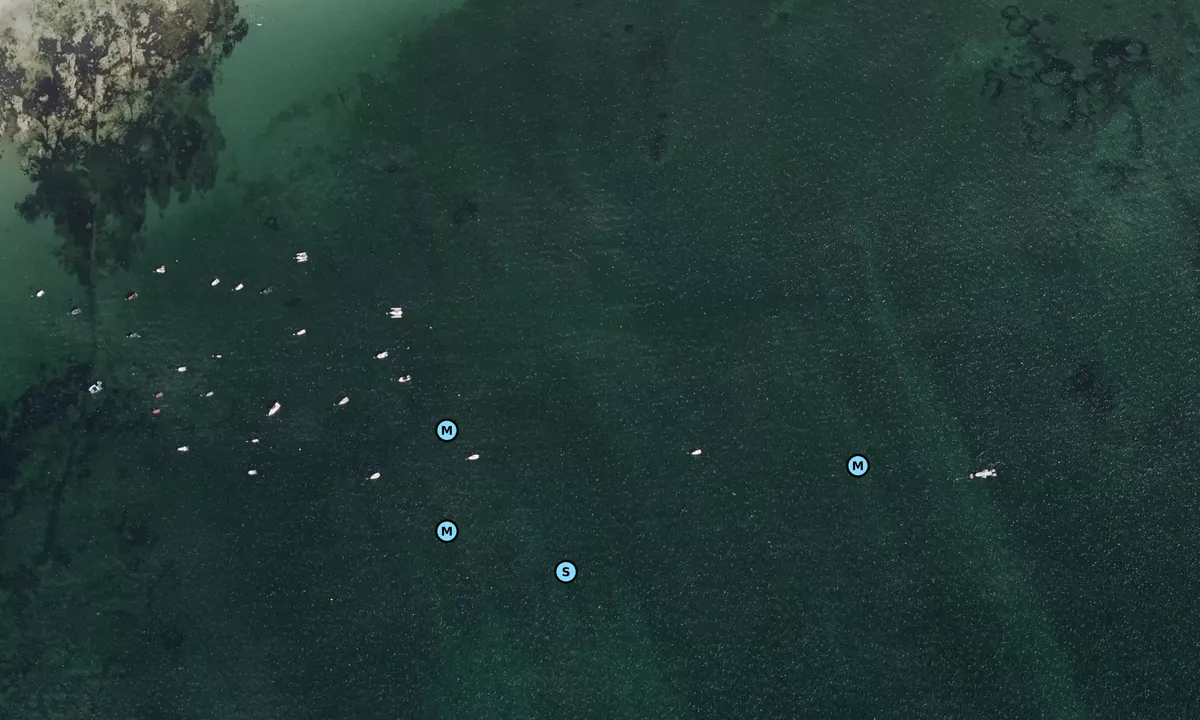 Satelite image of Carnac - plage