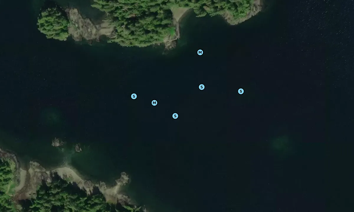 Satelite image of Carp Island