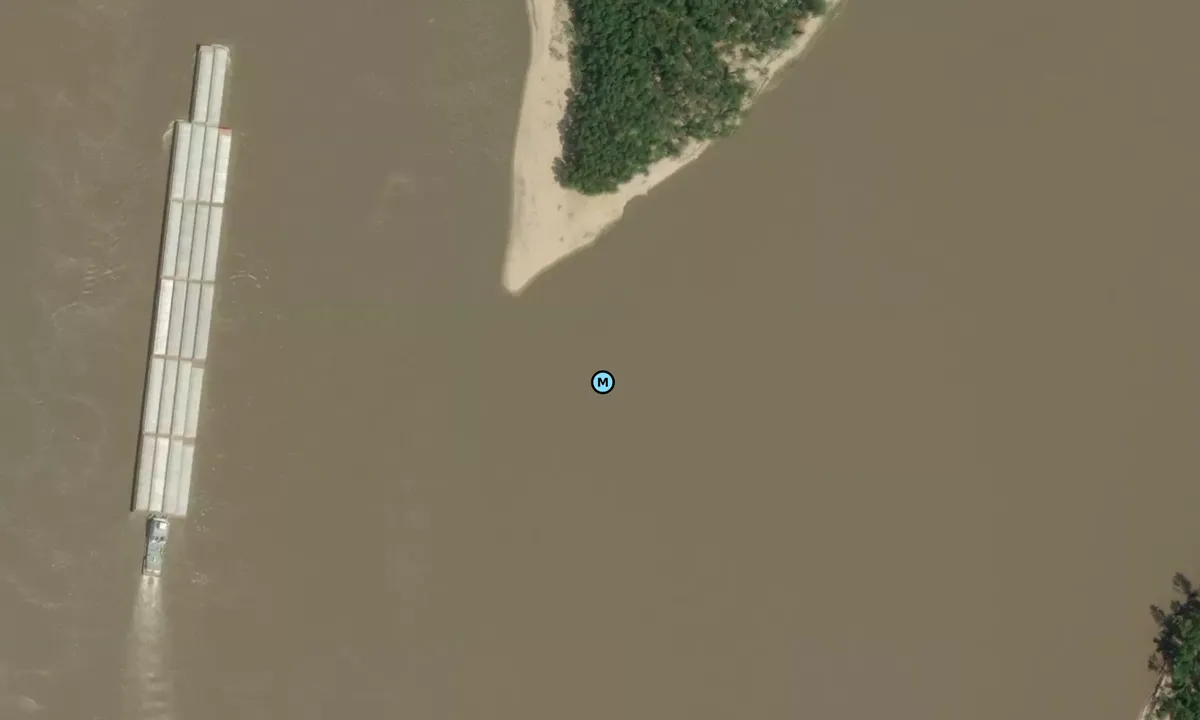 Satelite image of Carr cutoff towhead