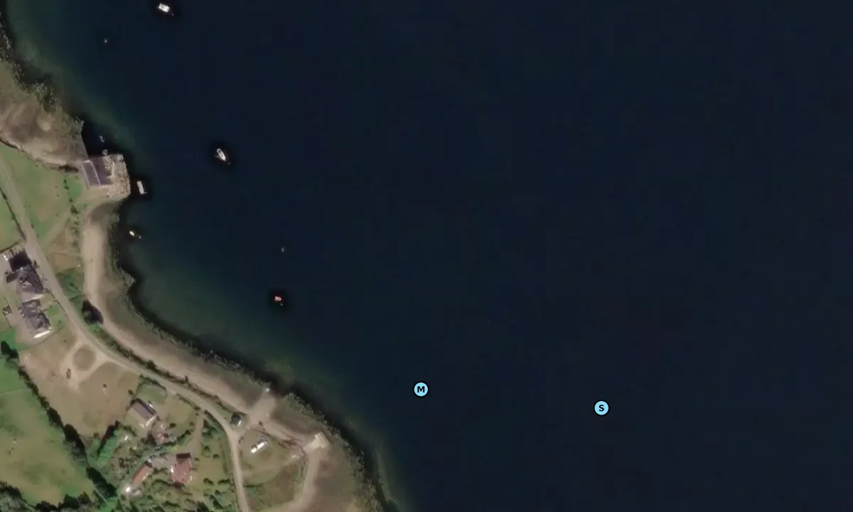 Satelite image of Carrick Castle