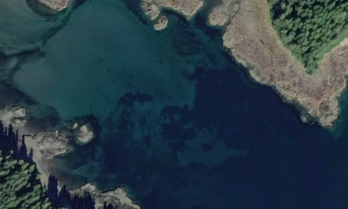 Satelite image of Carroll Island
