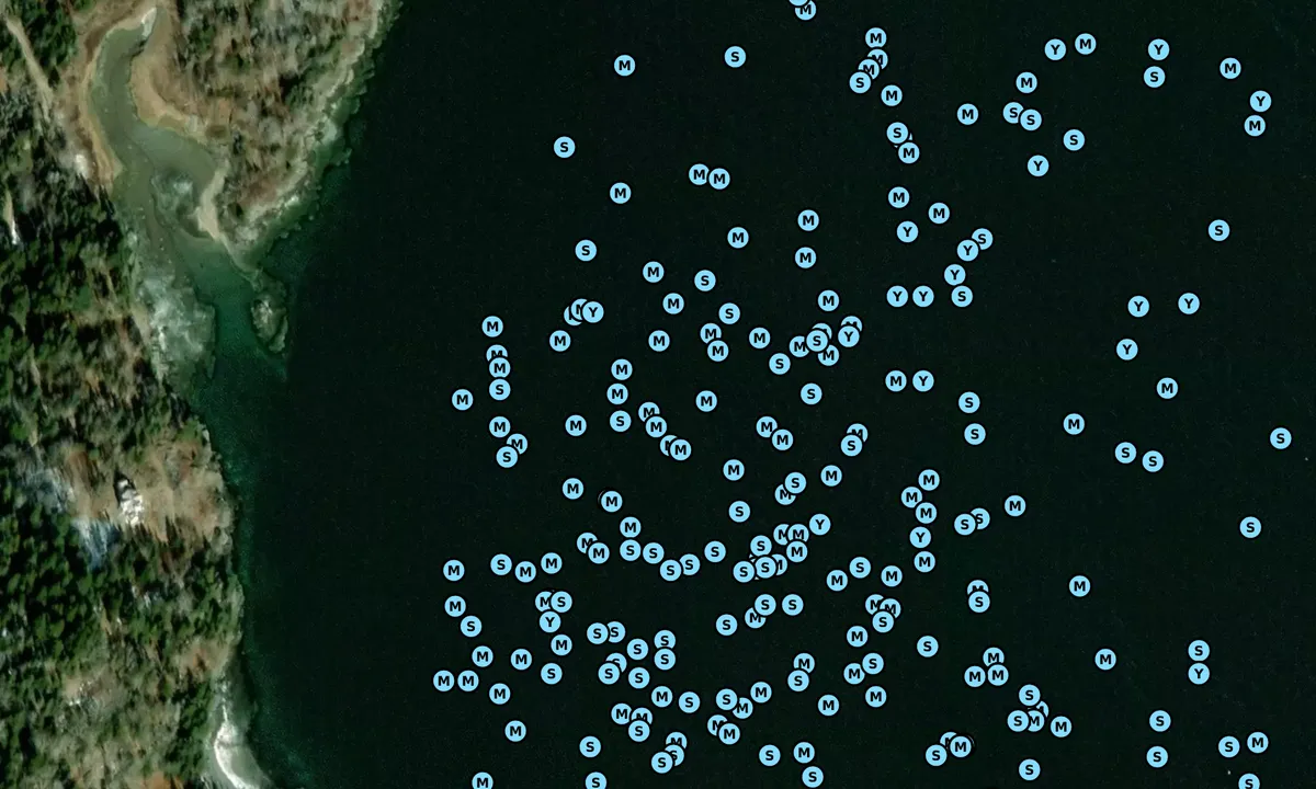 Satelite image of Carver Cove