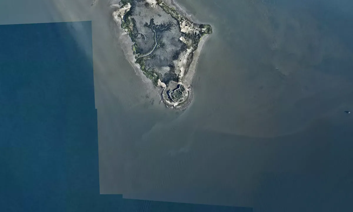 Flyfoto av Castle Pickney