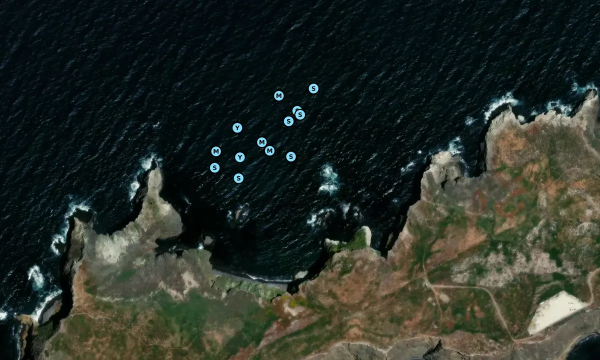 Satelite image of Cathedral Cove