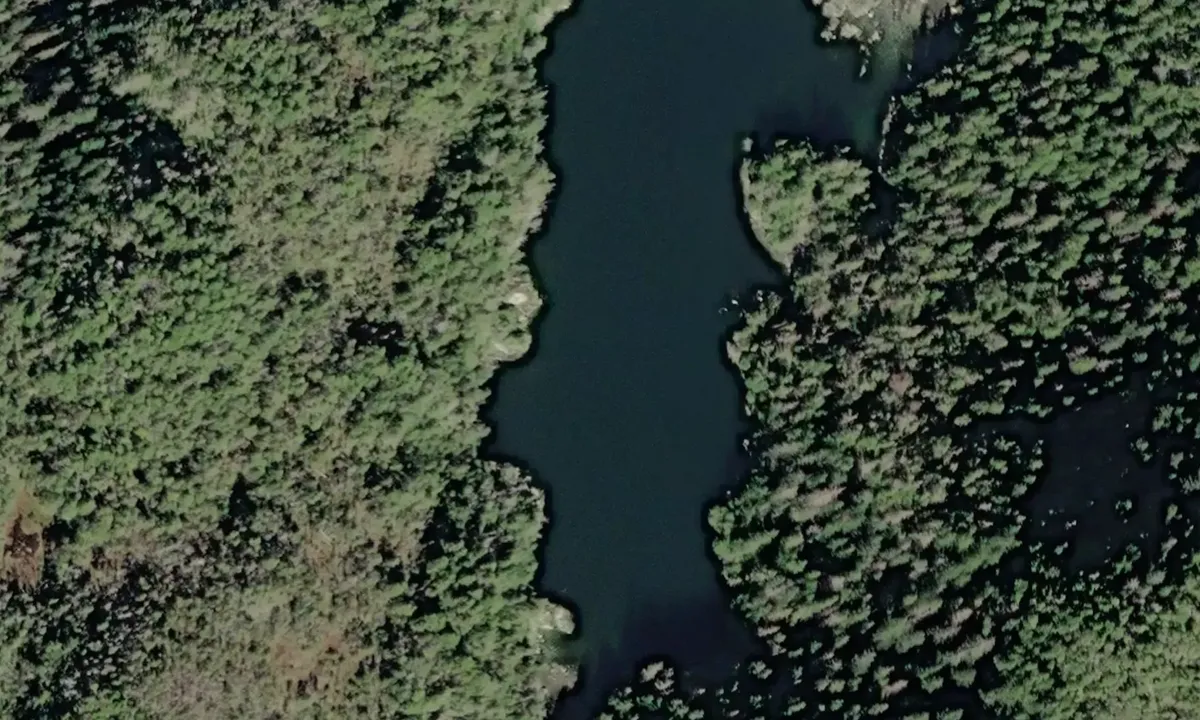 Satelite image of Cat's Tail Cove