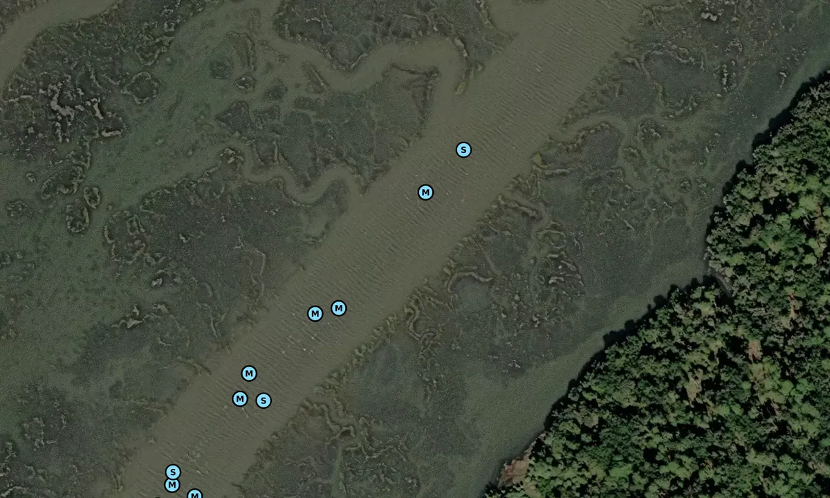 Satelite image of Cattle Pen Creek
