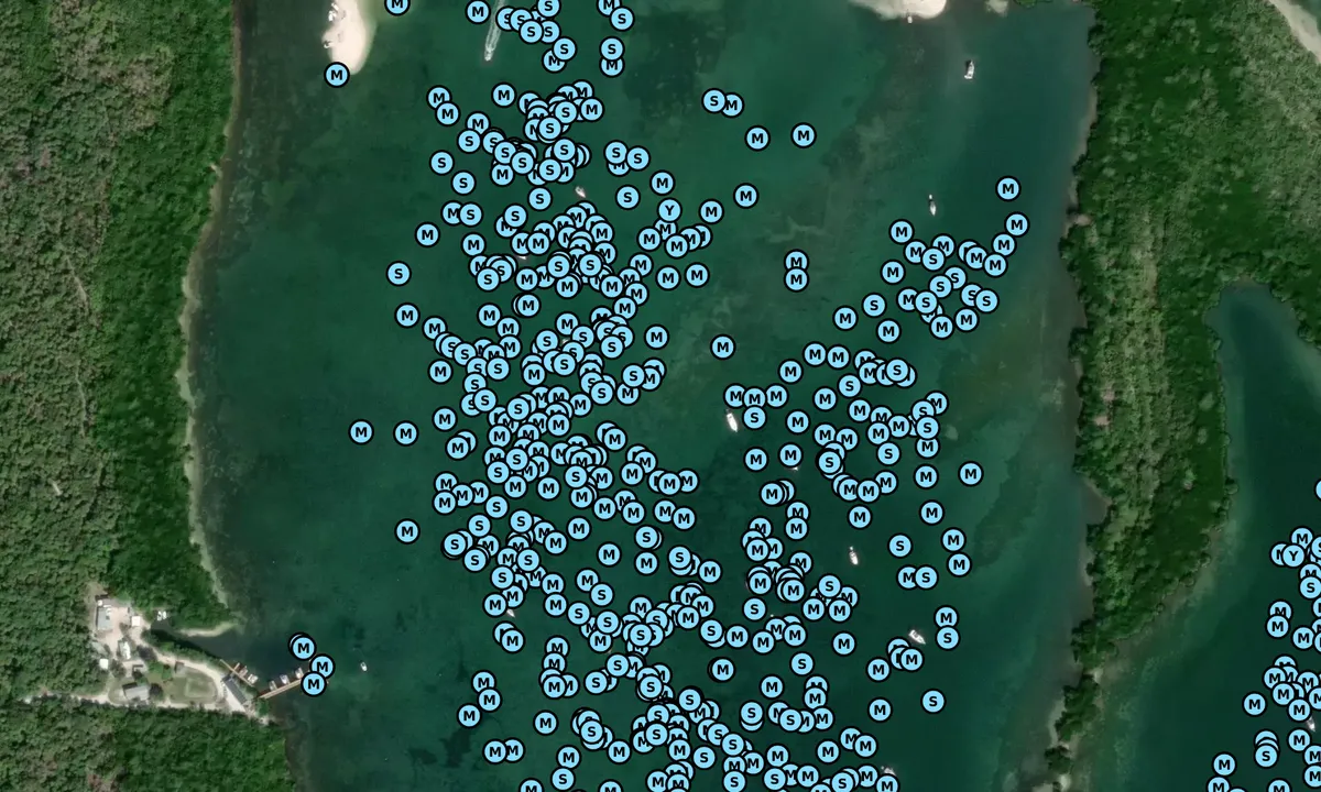 Satelite image of Caya Costa Sand  Bar