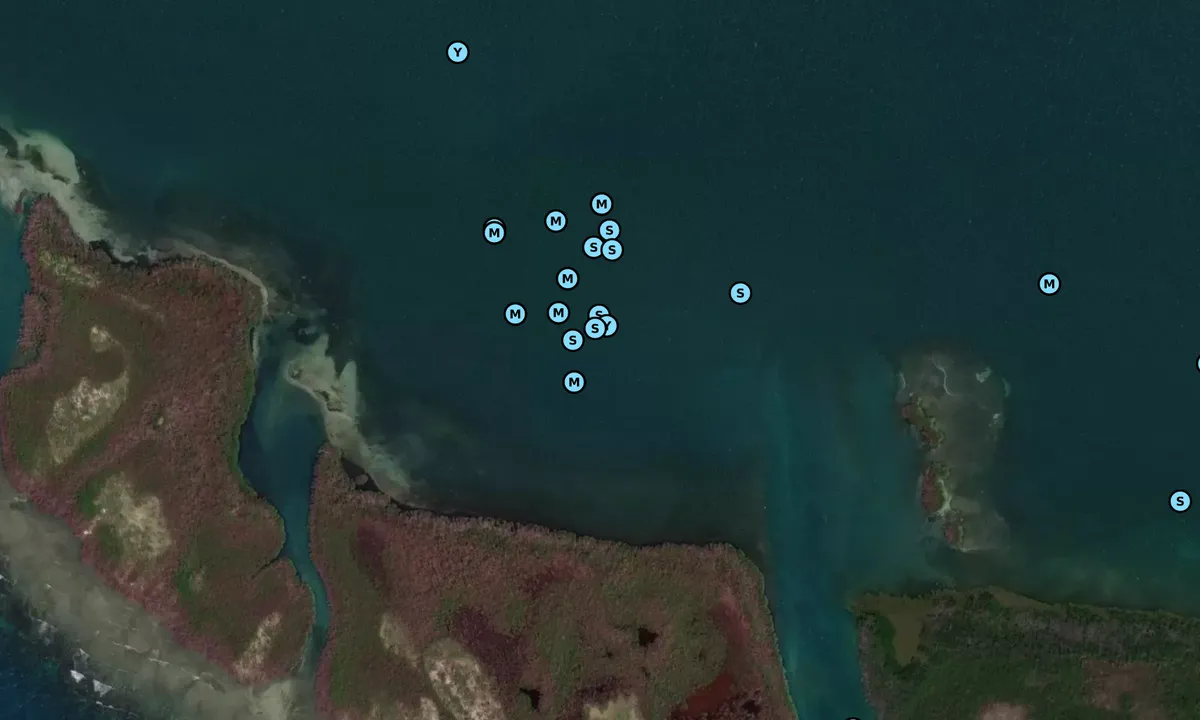 Satelite image of Cayo de Barca