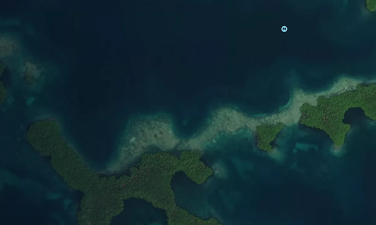 Satelite image of Cayo Gallego