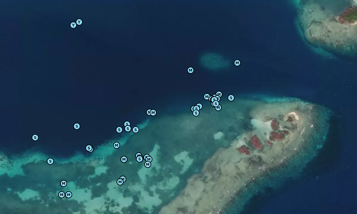 Satelite image of Cayo Henrique