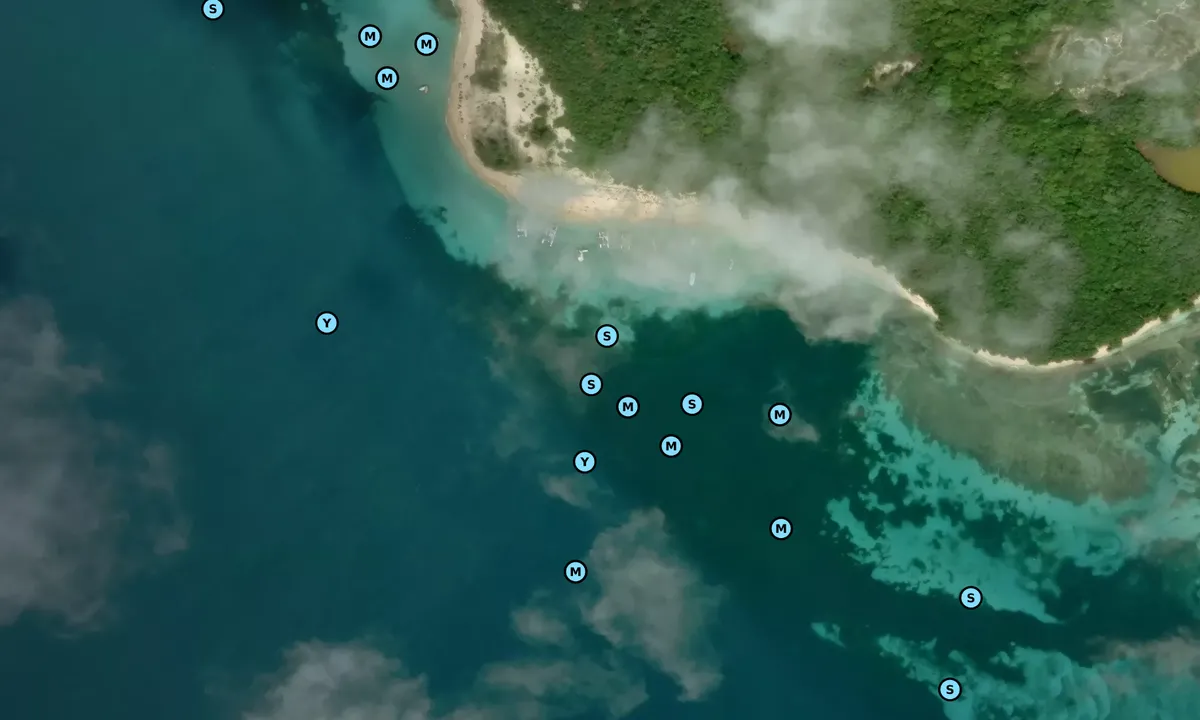 Satelite image of Cayo Icacos