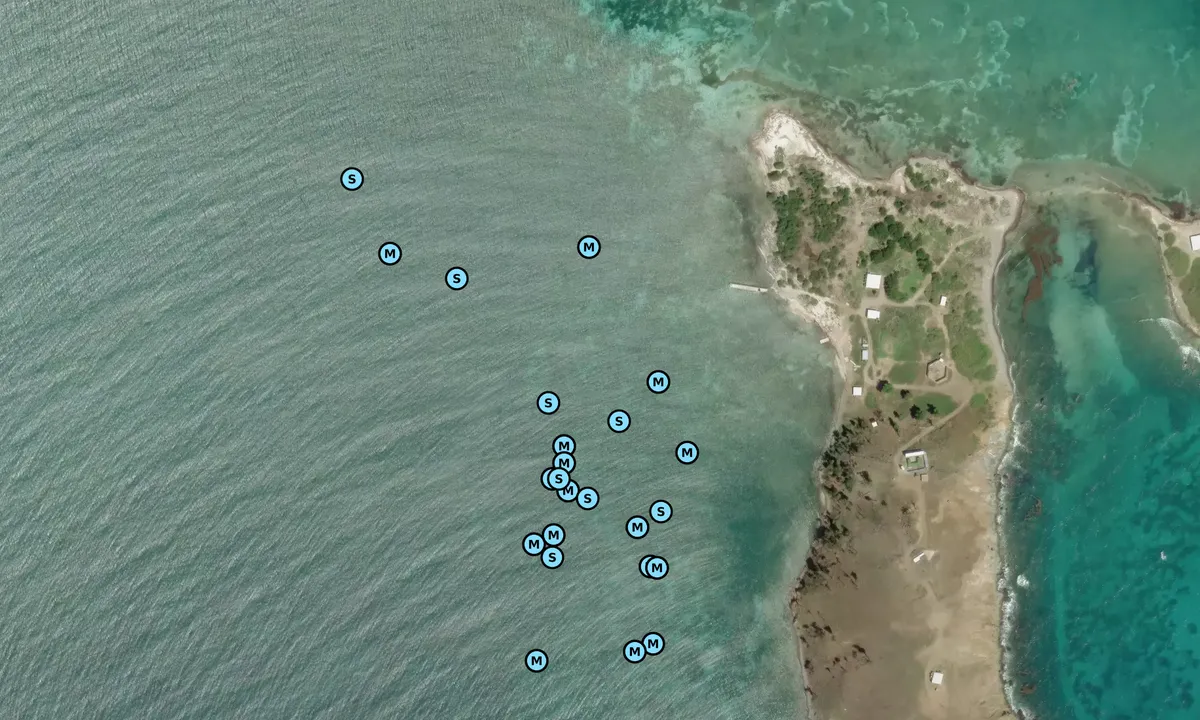 Satelite image of Cayo Santiago