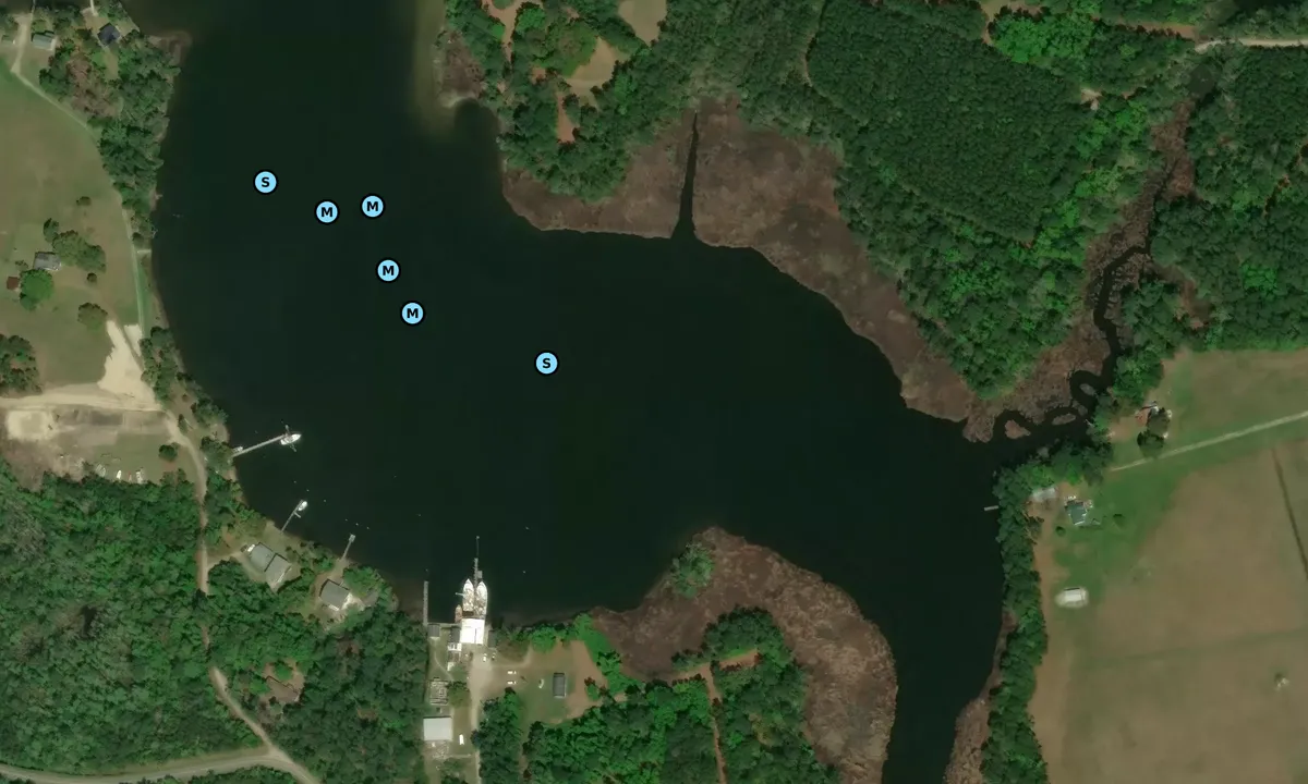 Satelite image of Cedar Creek Pocket
