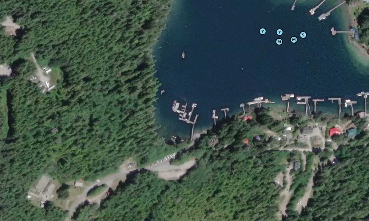 Satelite image of Centennial Park Boat Launch