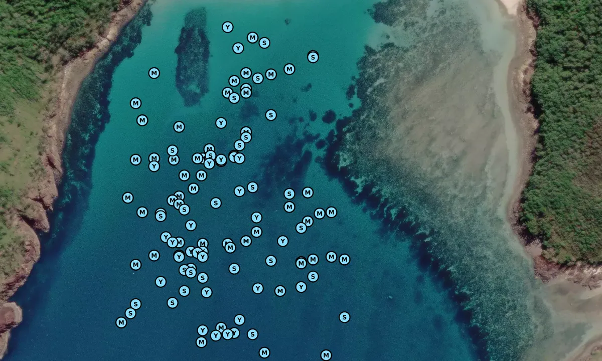 Satelite image of Chance Bay
